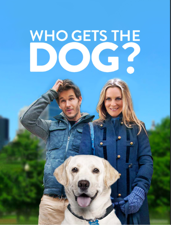 who gets the dog เกมส์มัดใจน้องหมาตัวป่วน