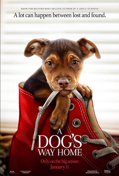 A Dog's Way Home เพื่อนรักผจญภัยสี่ร้อยไมล์